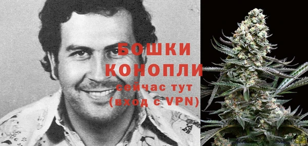 прущая мука Богородицк