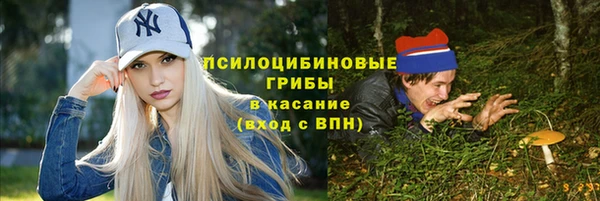 дурь Богородск